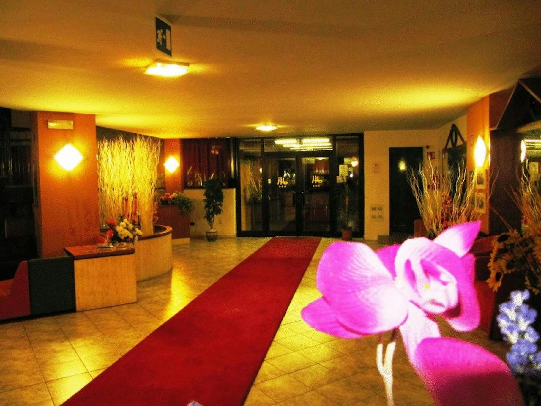 Albergo Orzihotel 11/30