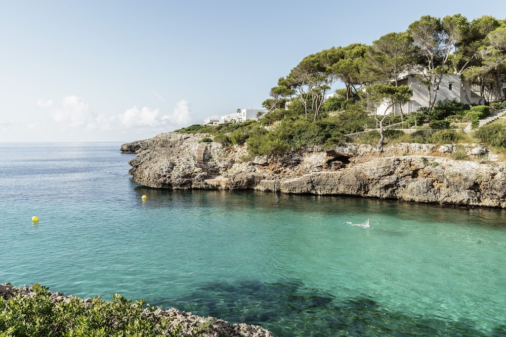 Aluasoul Mallorca Resort - Adults Only 64/71