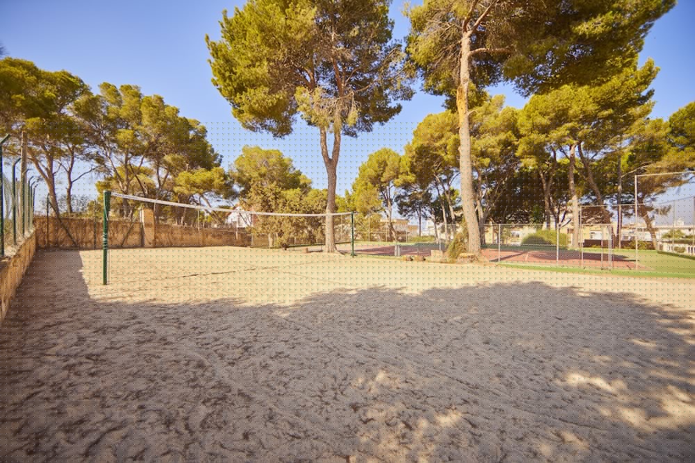 Mll Palma Bay Club Resort 29/37