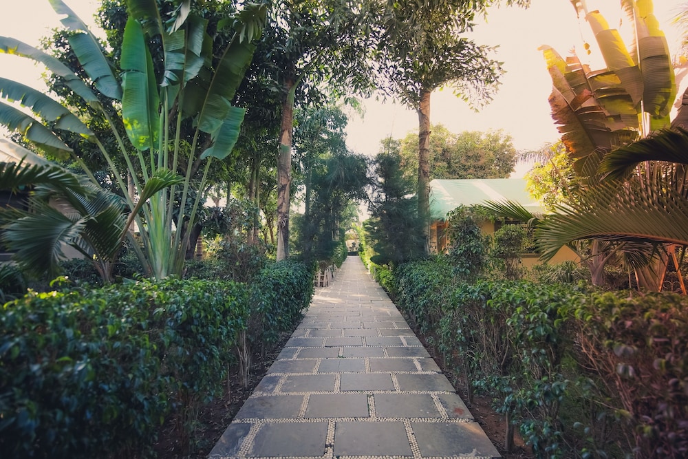 SAAVAJ RESORT 24/36