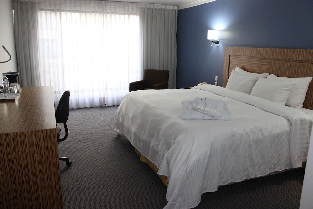 Radisson Hotel & Convention Center Toluca 12/50