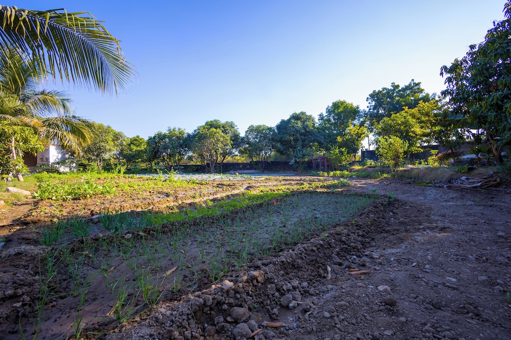 ELIVAAS Cows and Cuddles 4 BHK with Pvt Pool and Garden 58/68
