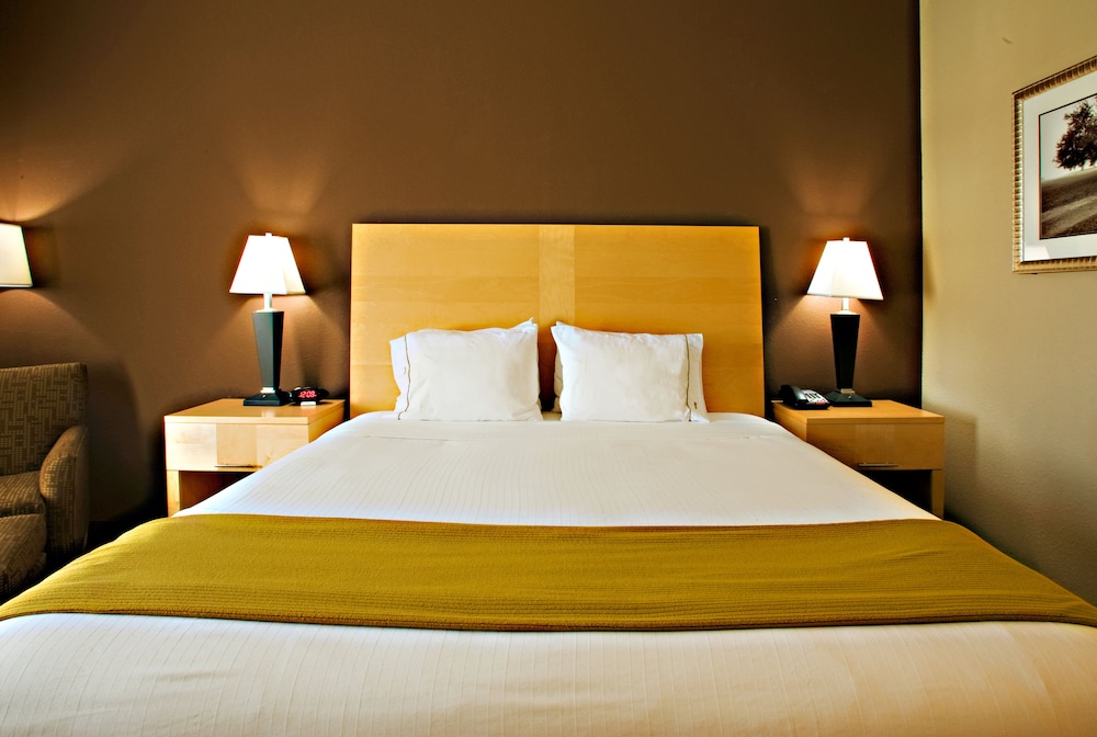 Holiday Inn Express Hotel And Suites Borger 9/43