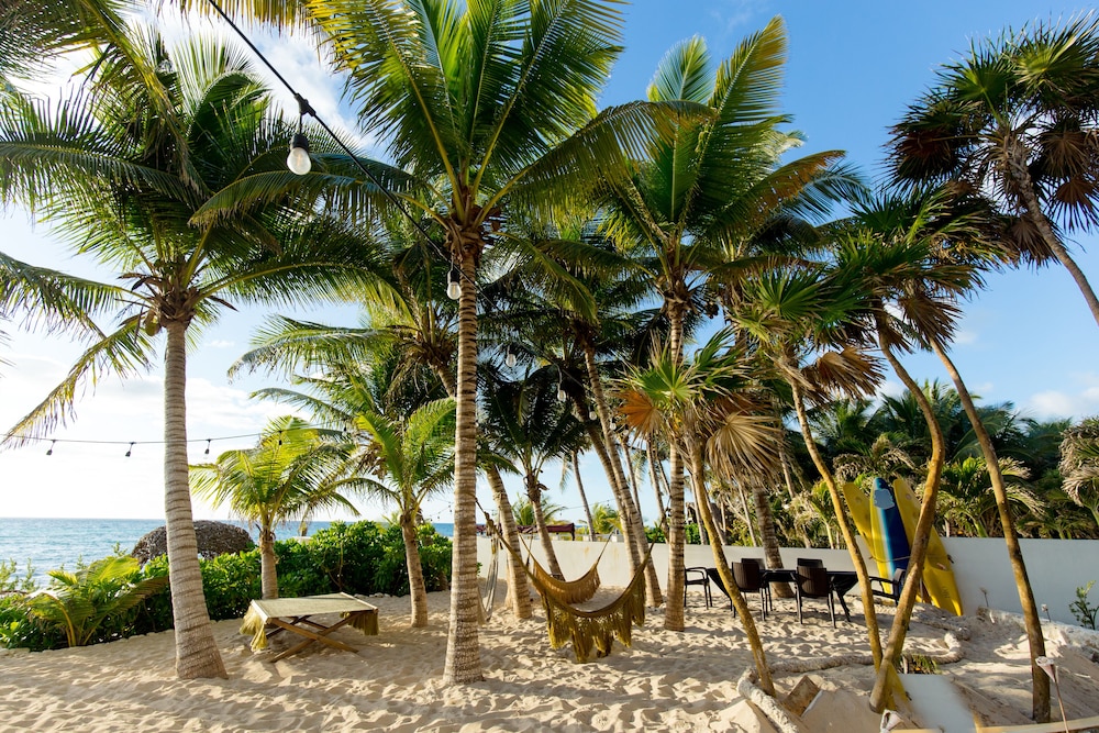 Angelina 28 Beachfront by Nah Hotels 37/53