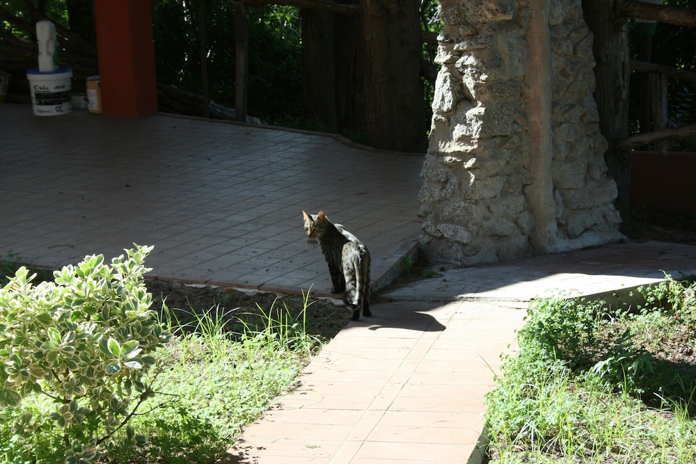 Agriturismo Ruralia 51/66