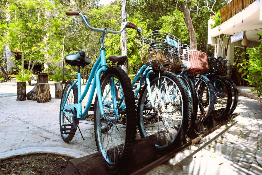 Niik Tulum 73/82