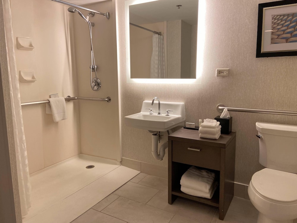 Embassy Suites by Hilton Chicago Schaumburg Woodfield 16/55