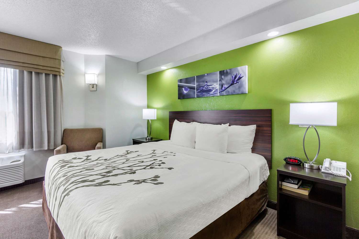 Room, King Bed, Smoking