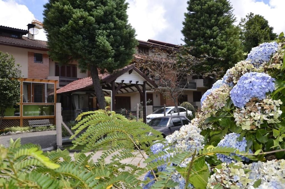 HOTEL ALPENHOF 8/54
