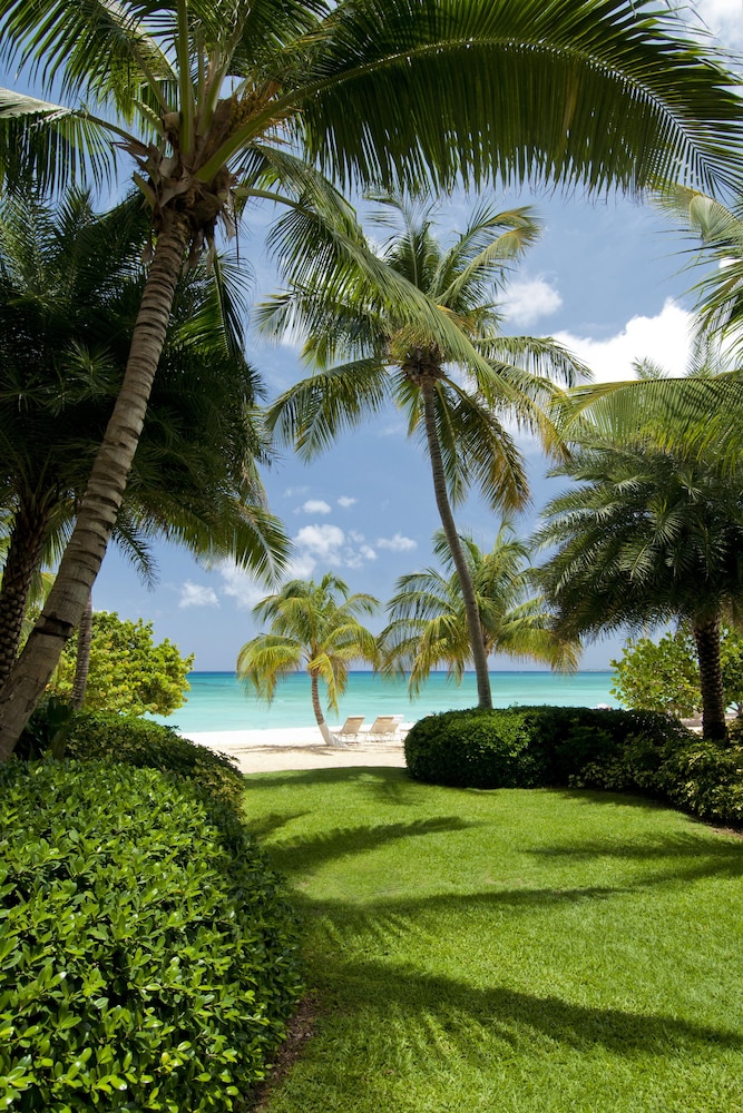 Caribbean Club 36/50