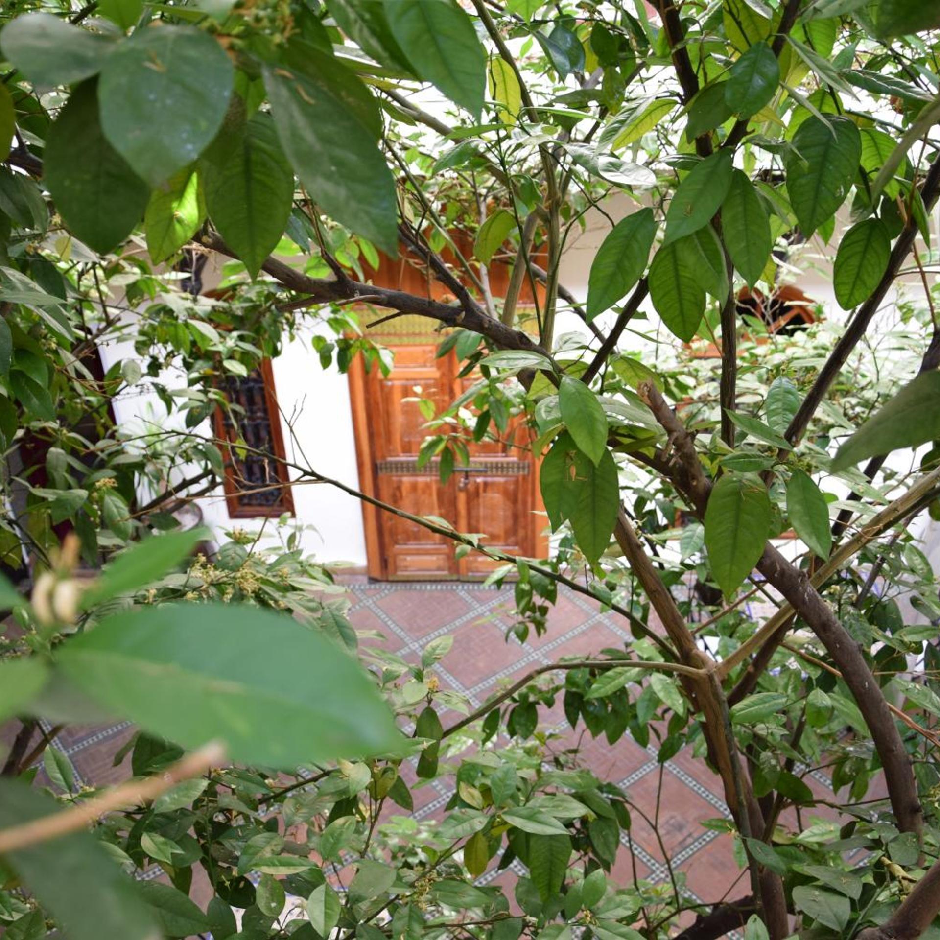 Riad Granvilier 45/50