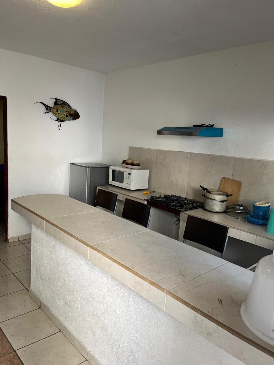 Hotel Albatros Palace 7/24