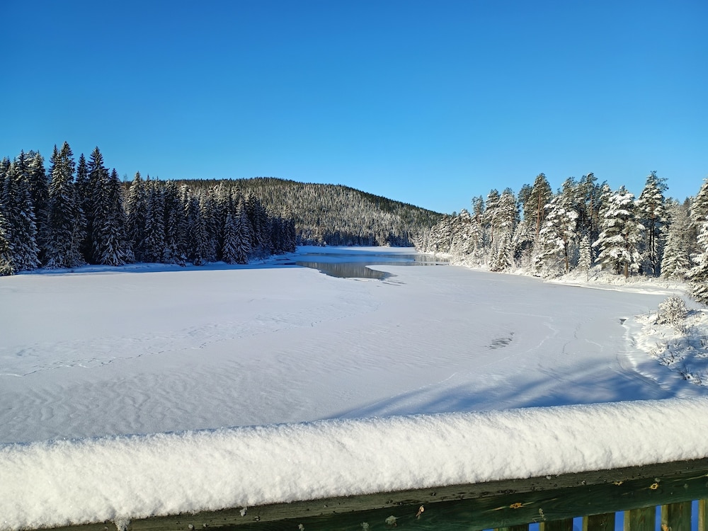 Vardshuset Lugnet 39/42