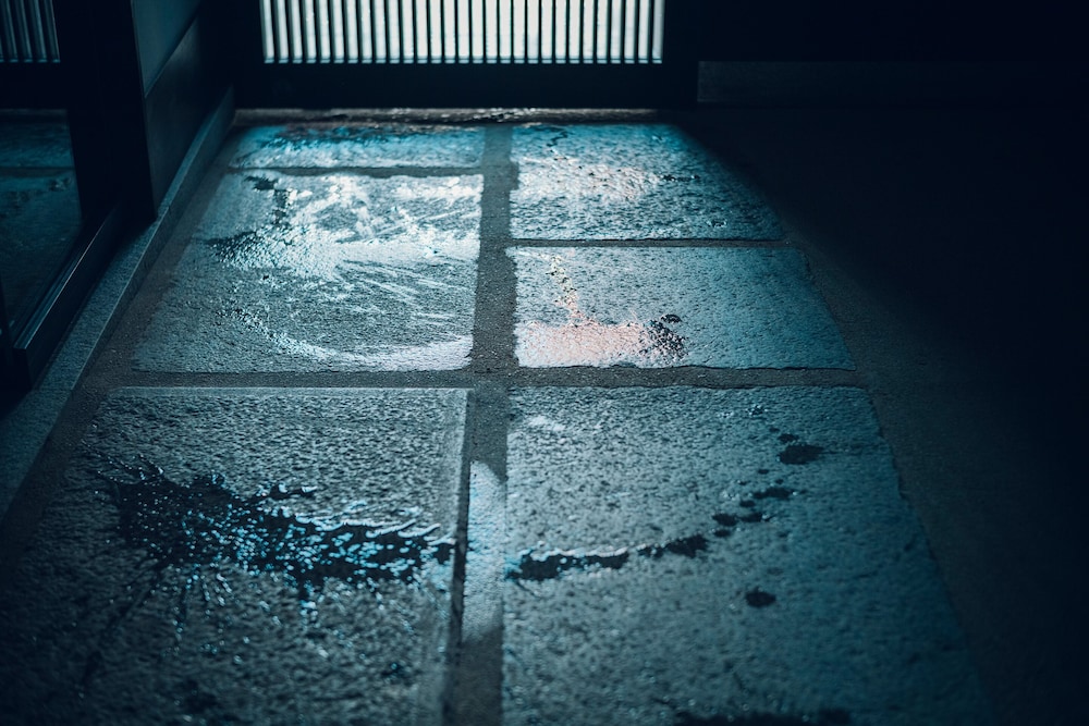 The Hiramatsu Kyoto 22/48