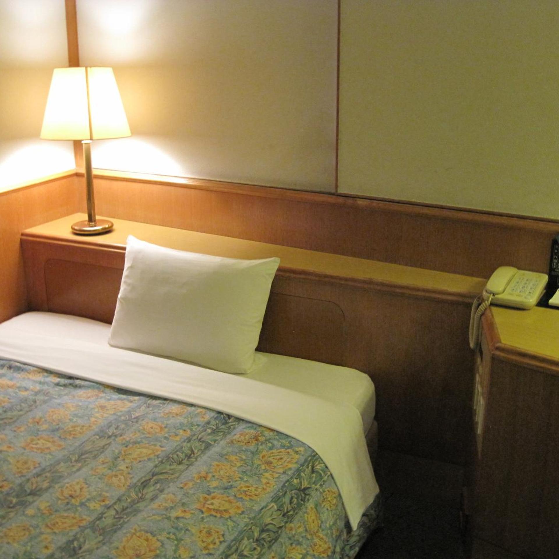 Hyuga Daiichi Hotel 12/29