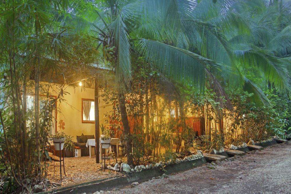 Jungles Edge 6/50