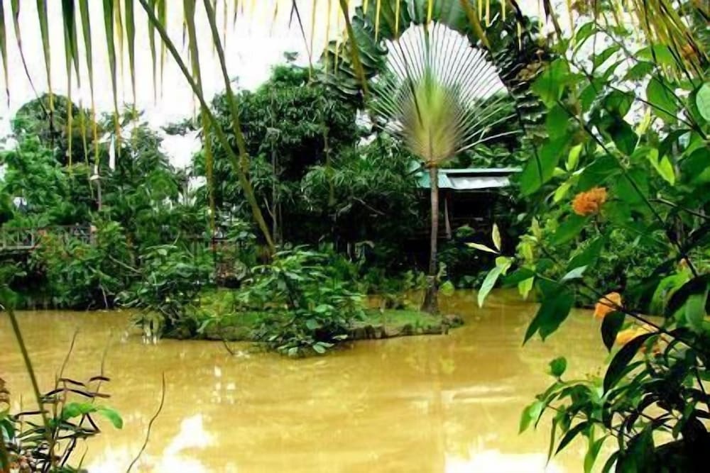 Sepilok Jungle Resort 51/62