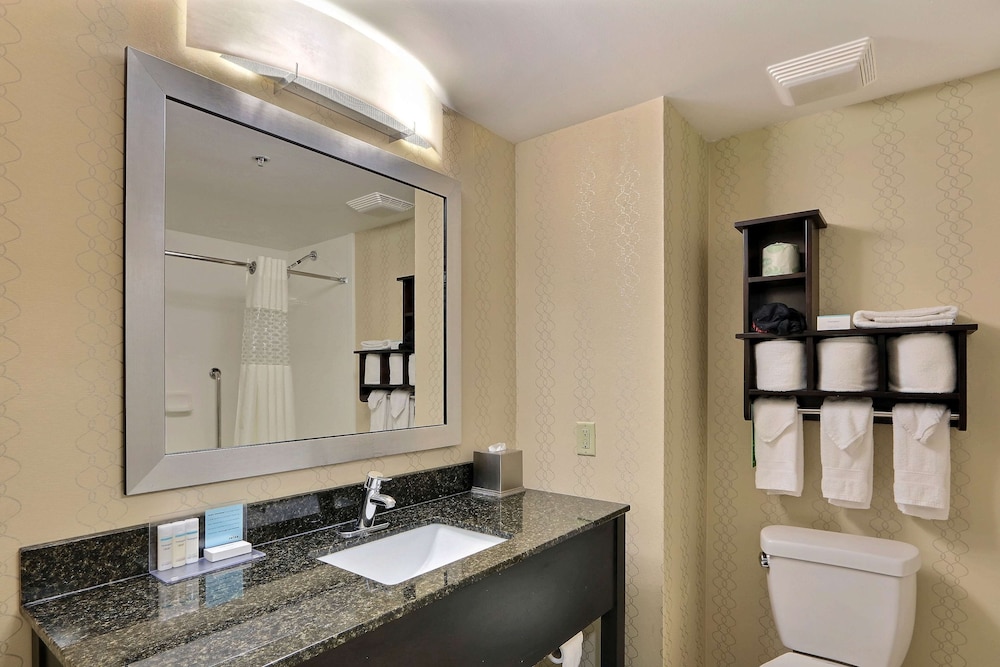 Hampton Inn Savannah-I-95 Richmond Hill 11/38