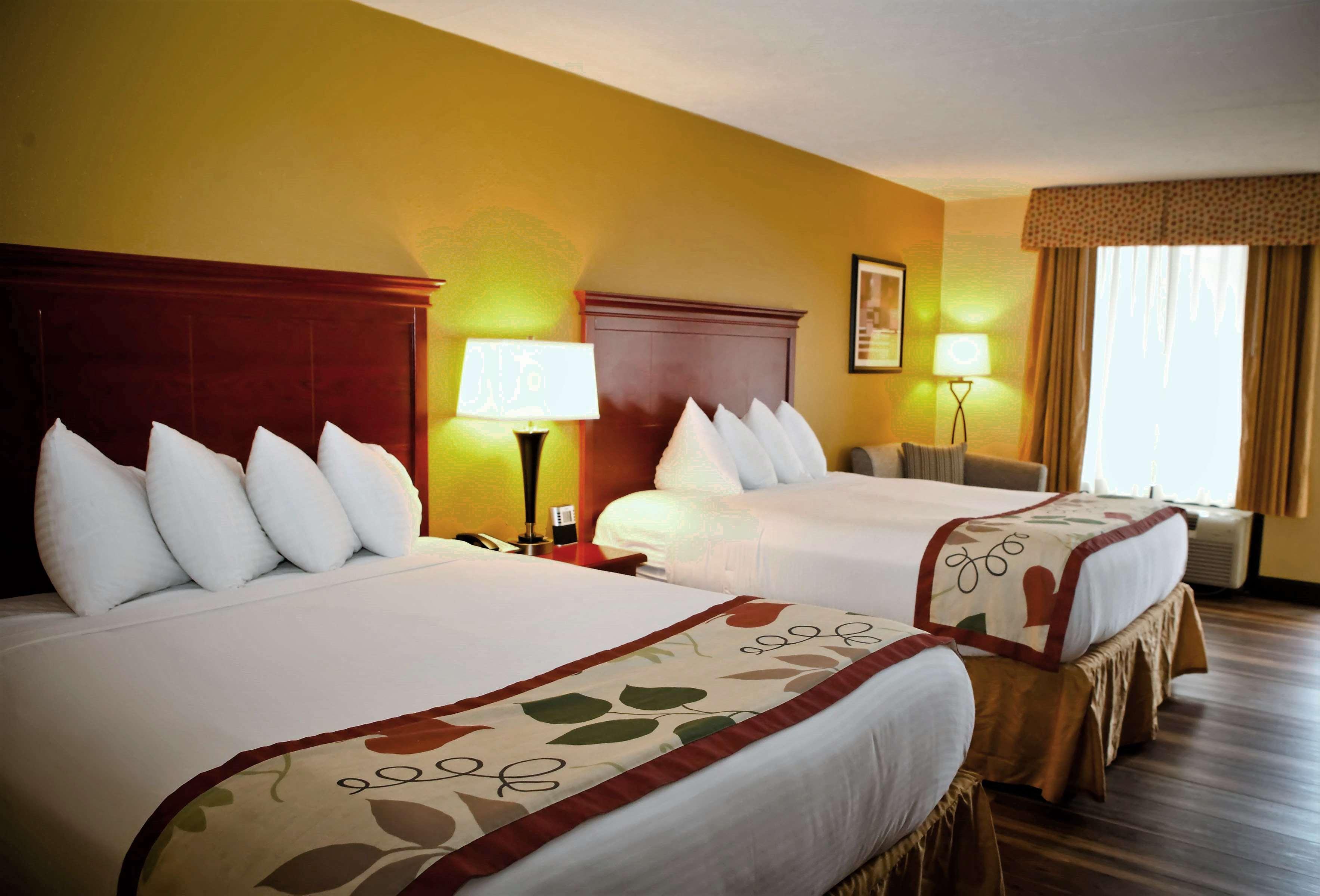Downstairs, 2 Queen Beds
