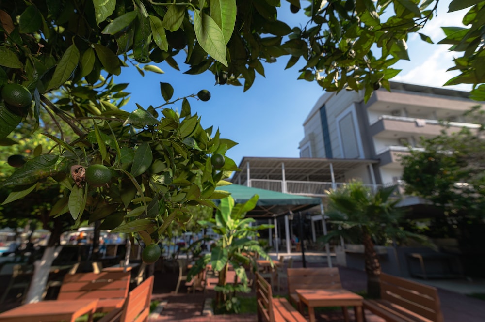 Grand Hotel Derin 46/50