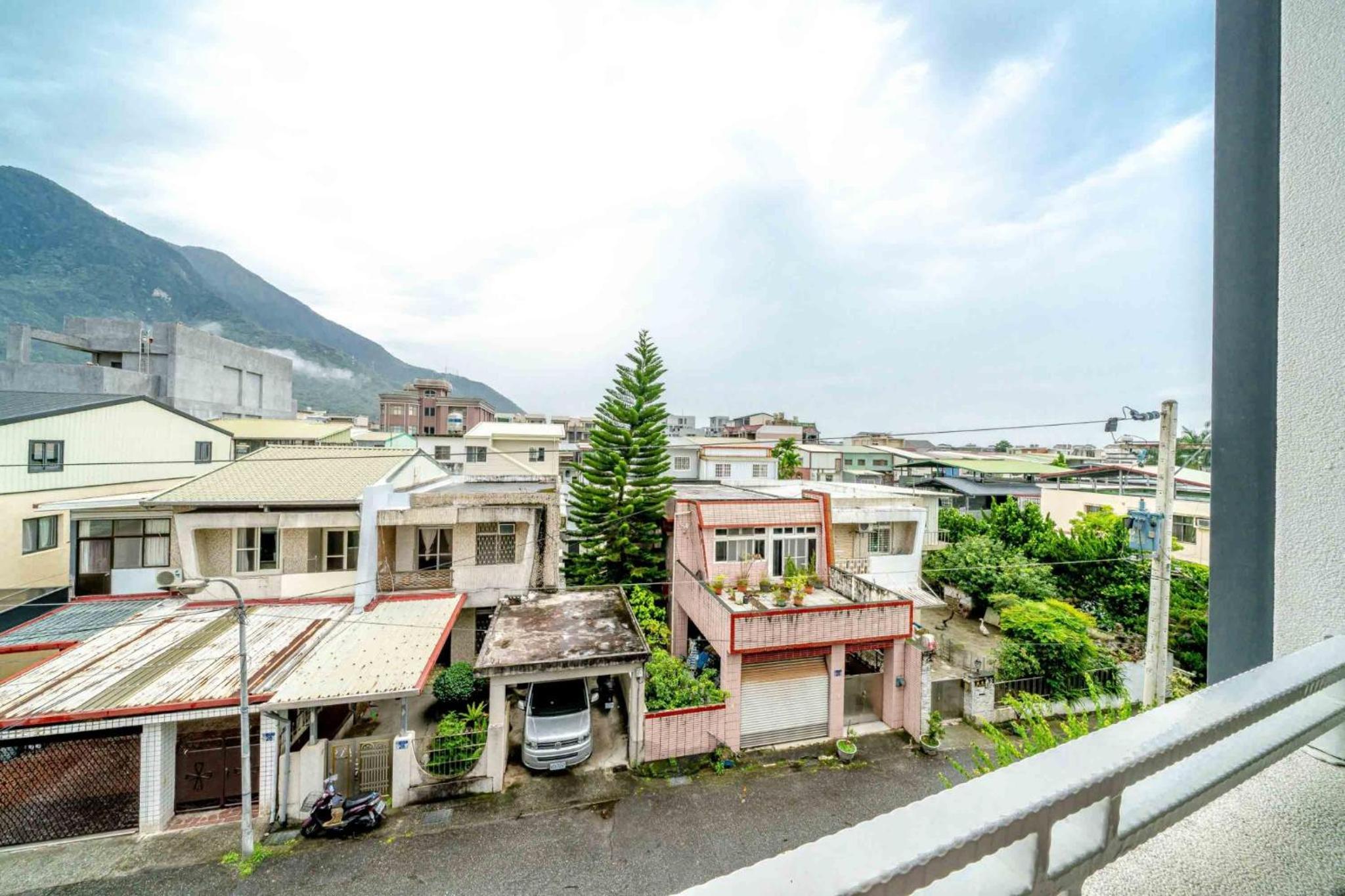 Hualien Pine 4/50