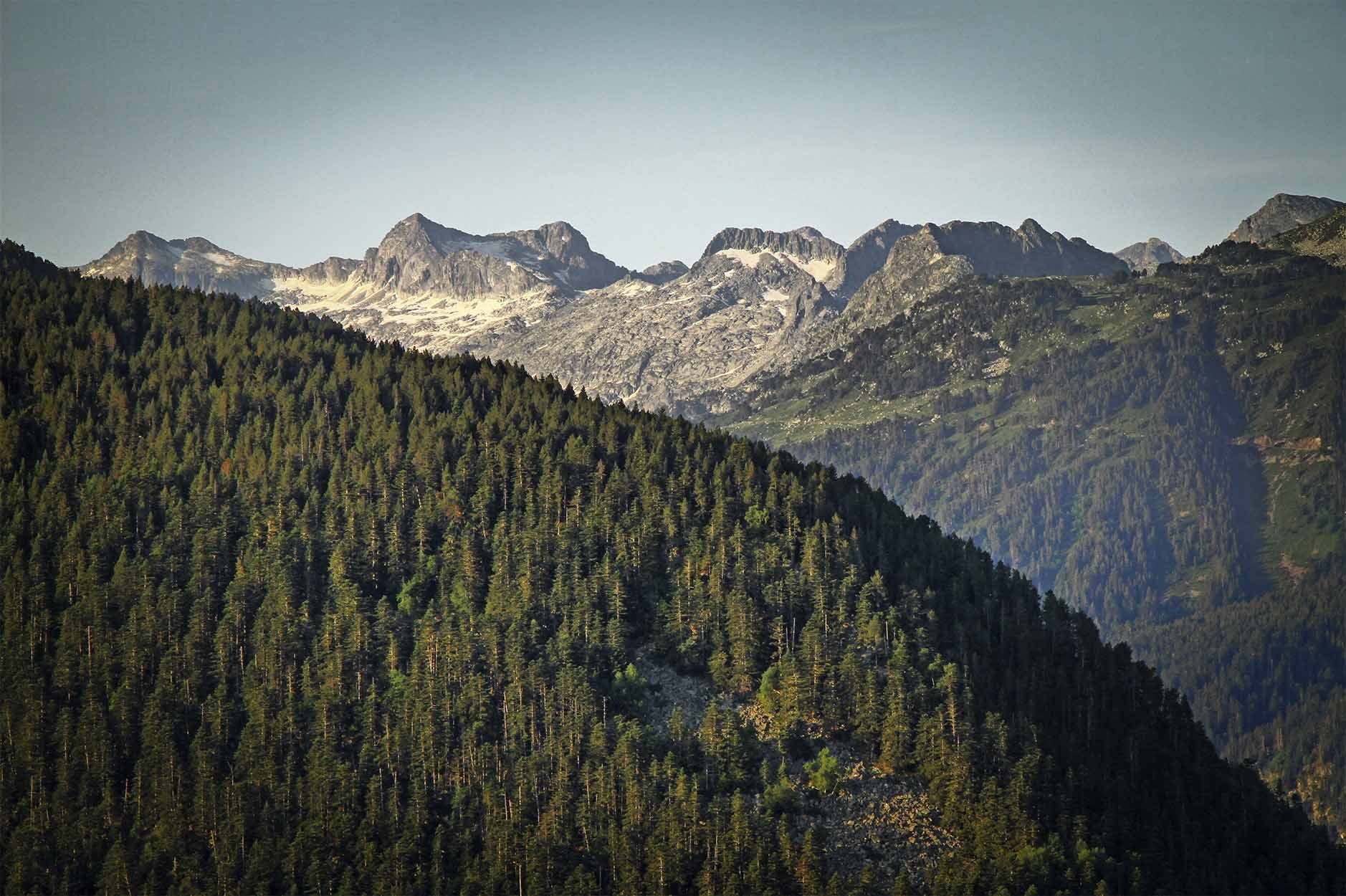 Mont-Romies 36/48