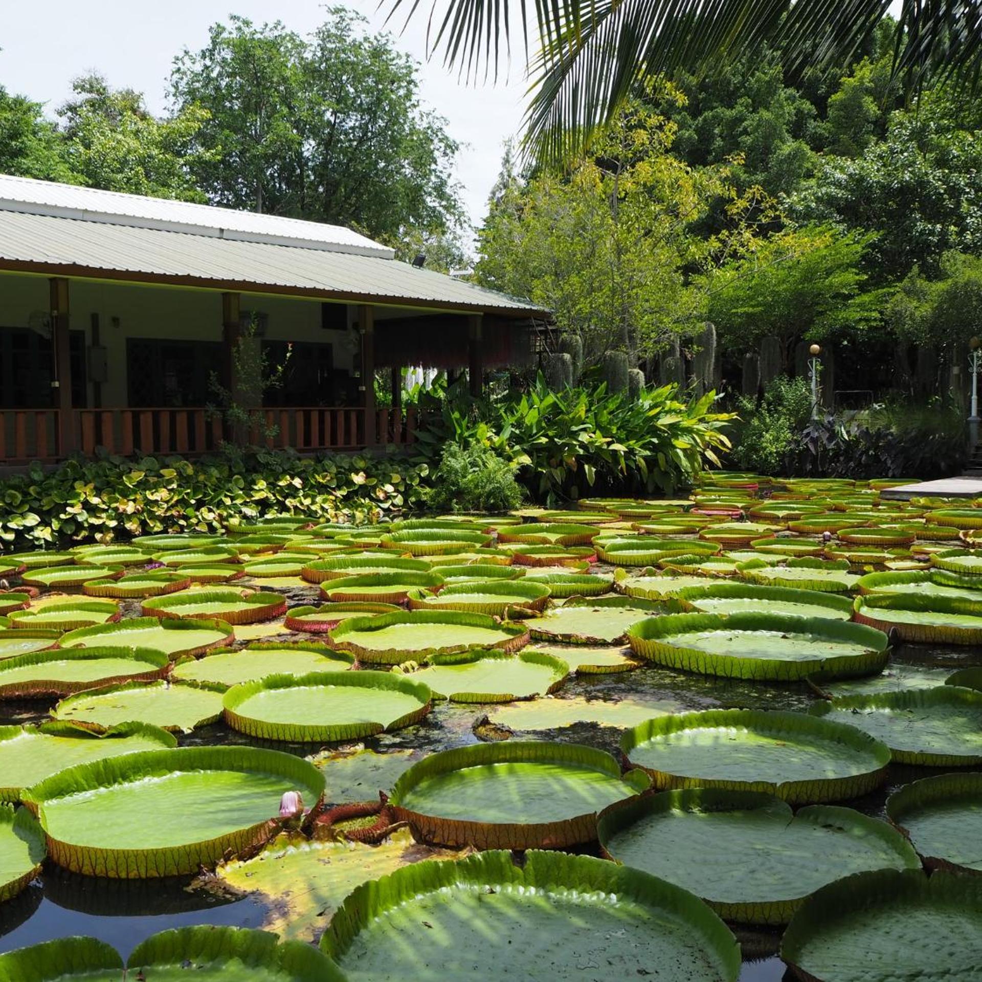 Muaan Resort 39/48