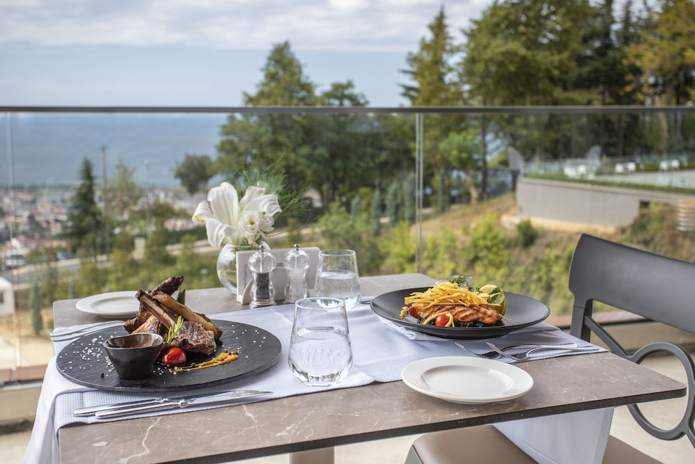 Radisson Blu Hotel Trabzon 56/70