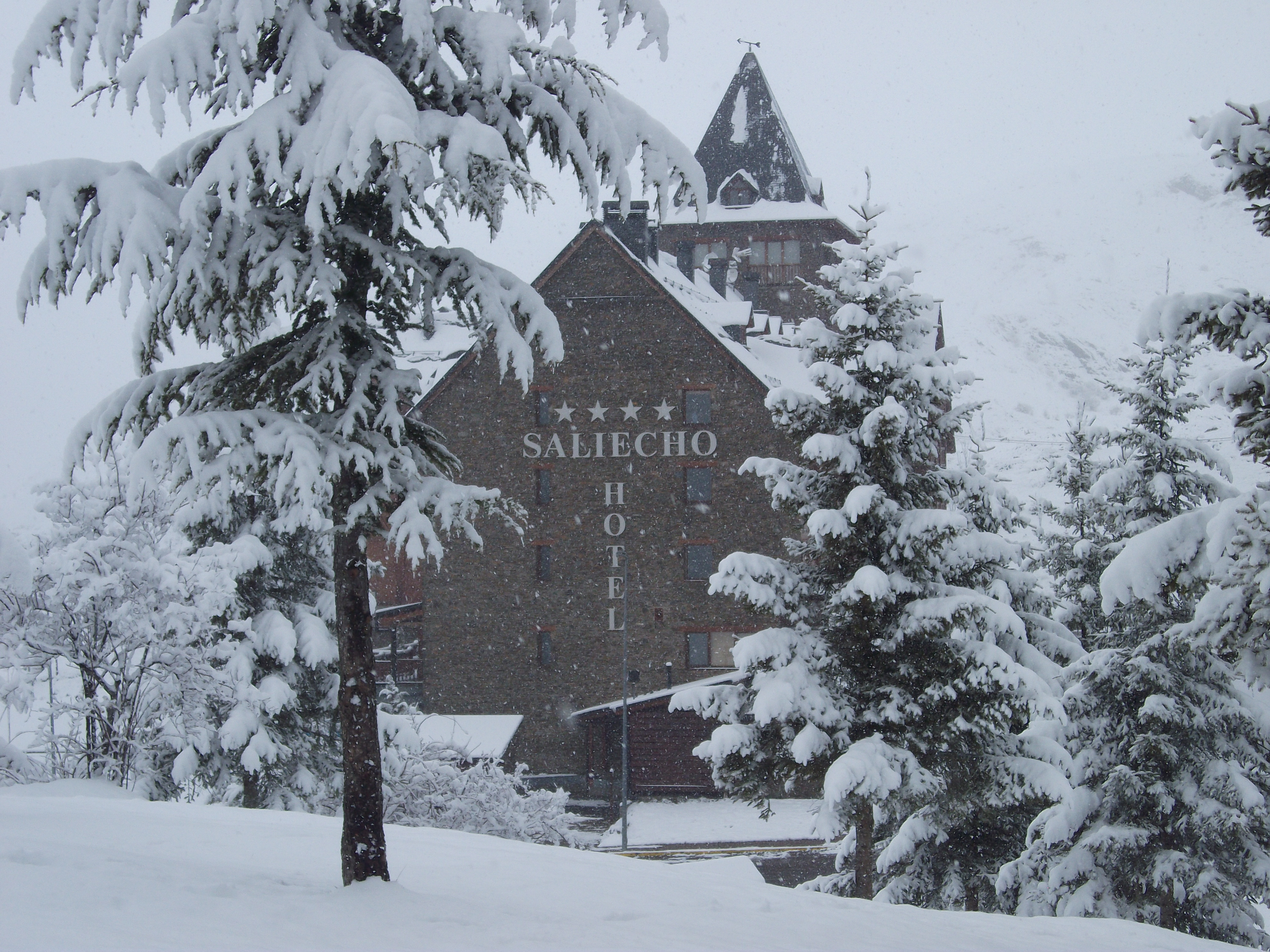 Saliecho 51/58