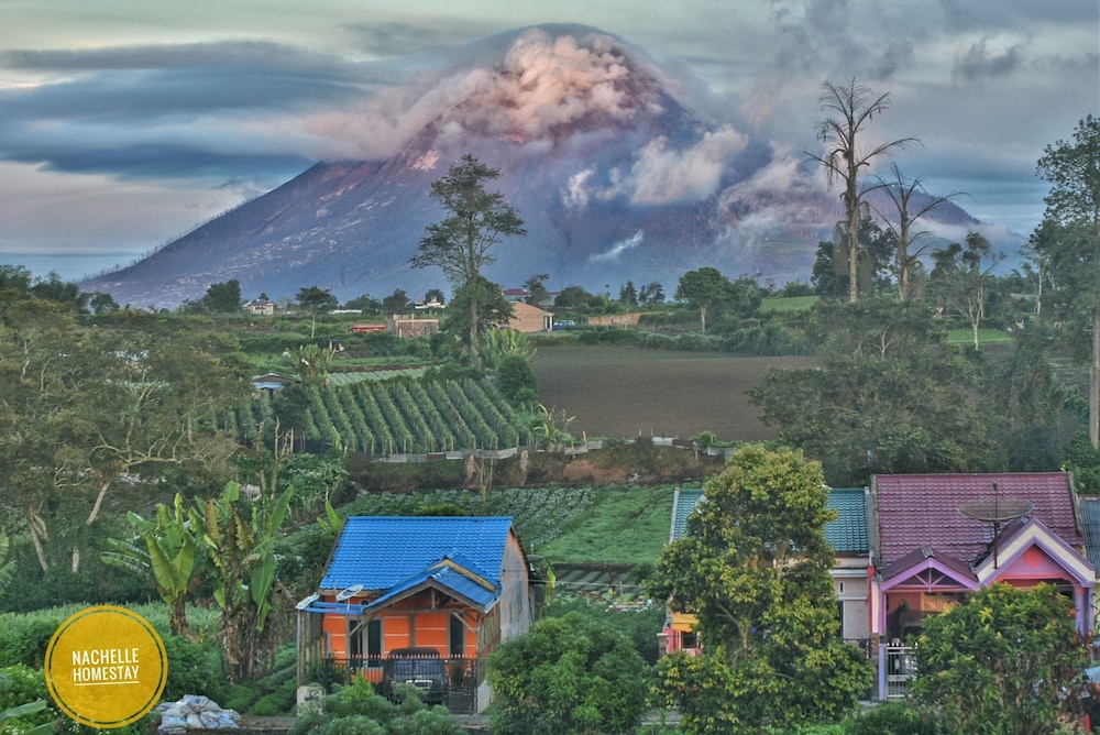 Berastagi Nachelle Homestay 44/50