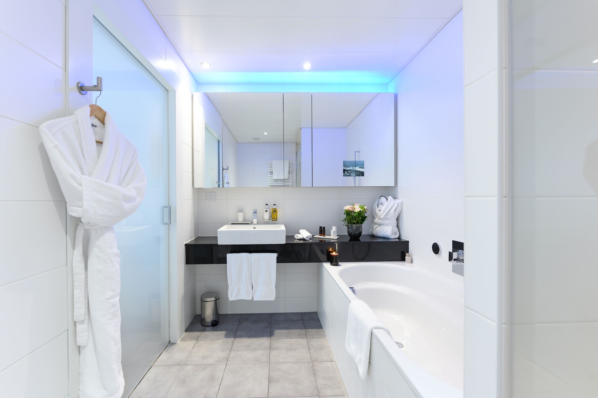شقة ديلوكس بسرير كينج بغرفة نوم واحدة مع أريكة، Swiss Luxury Apartments 5/5