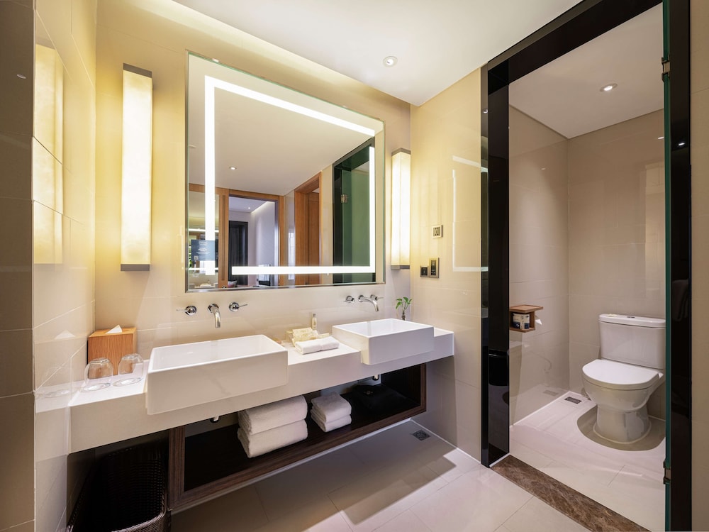 Hilton Garden Inn Chengdu Huayang 27/67