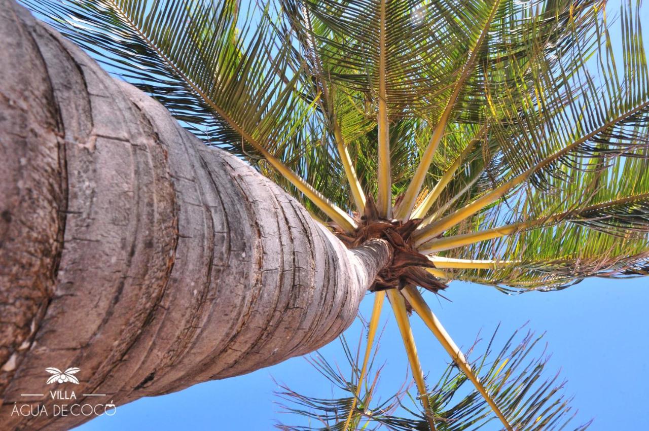 Villa Agua de Coco 39/45