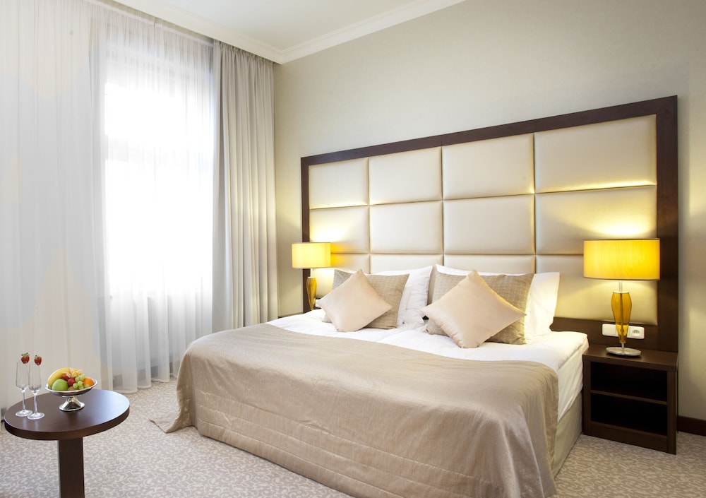 Kosher Hotel KING DAVID Prague 8/45