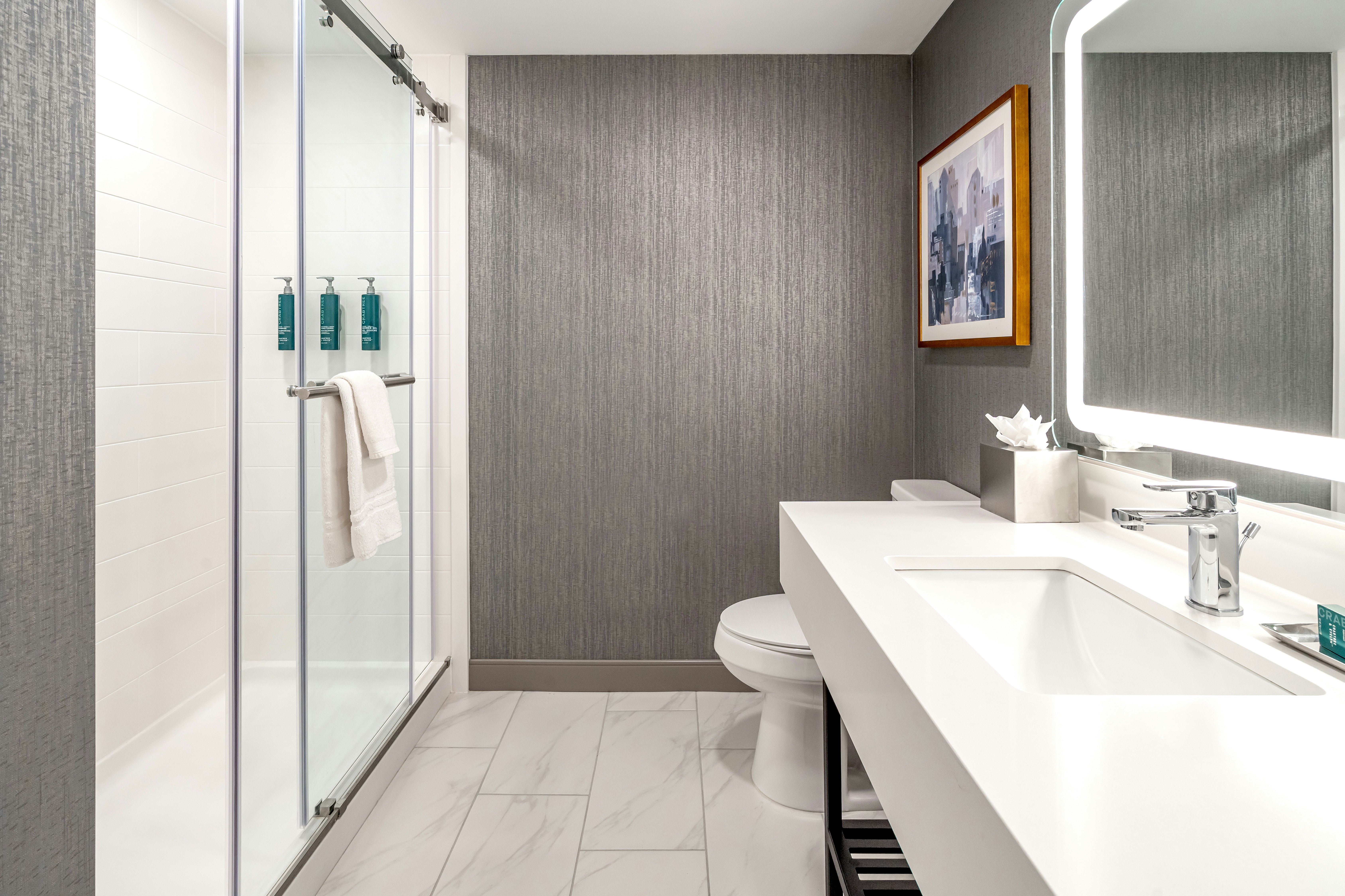 غرفة بسرير كينج لذوي الإعاقة، DoubleTree by Hilton Sioux City 4/4