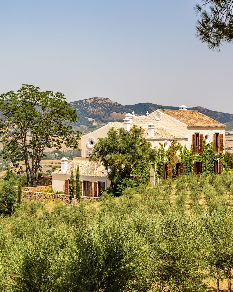 Cortijo LA Organic 35/48
