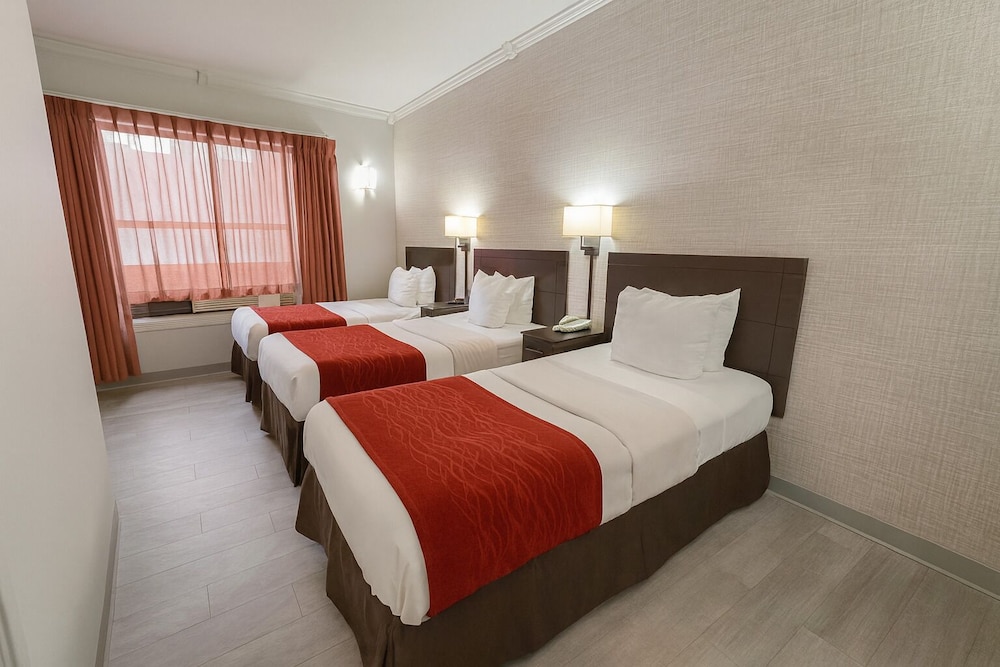 STANDARD, 3 BEDS