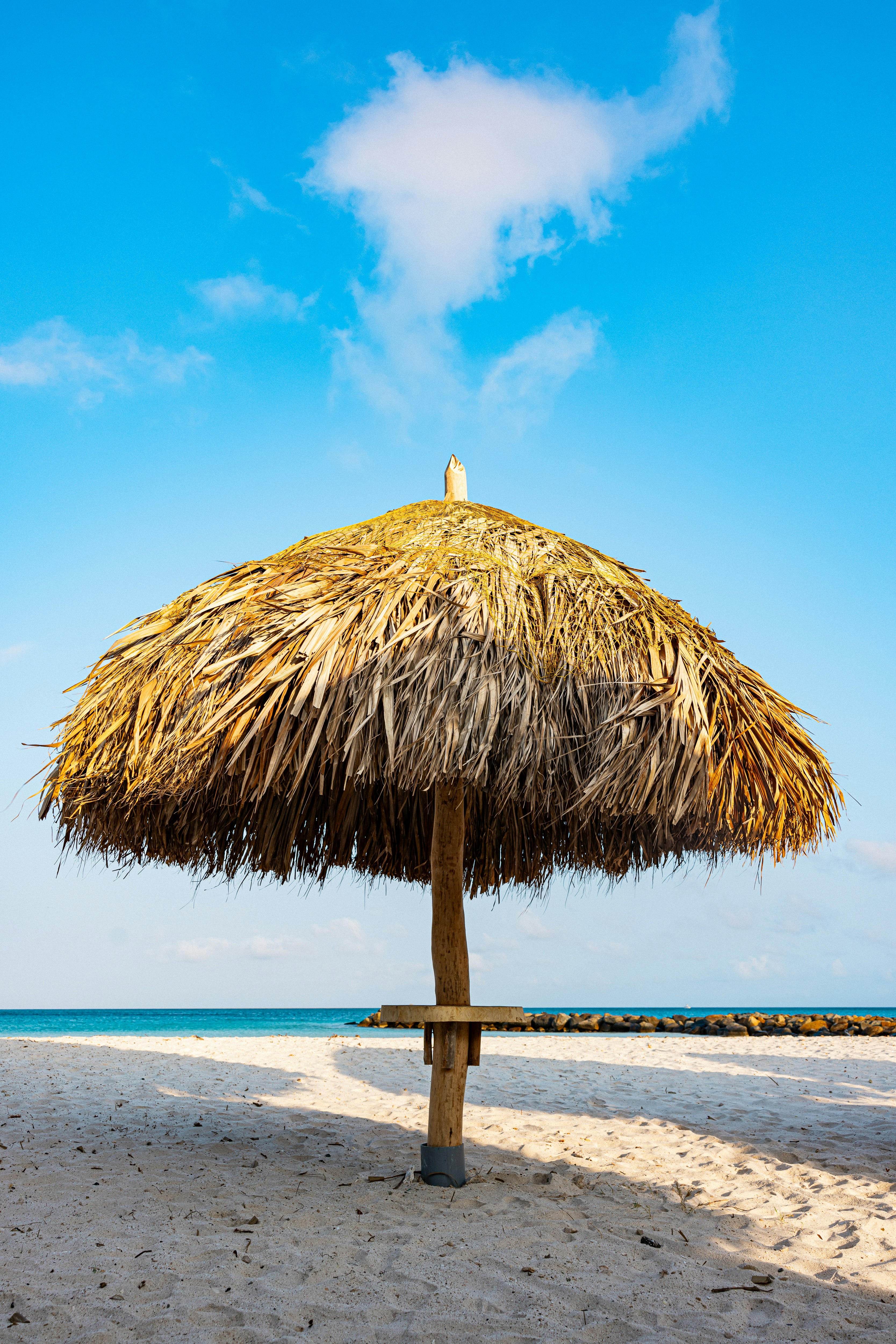 Embassy Suites by Hilton Aruba Resort 47/50