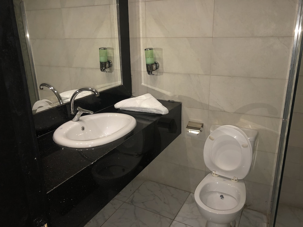 Panorama Hotel Tanta 38/50