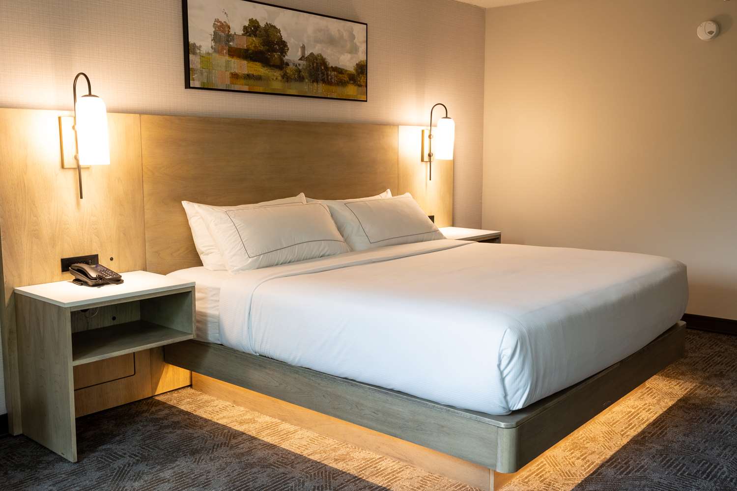 Room, King Bed