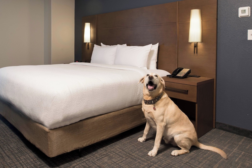 استوديو بسرير كوين مع أريكة، Residence Inn Memphis Downtown 5/10