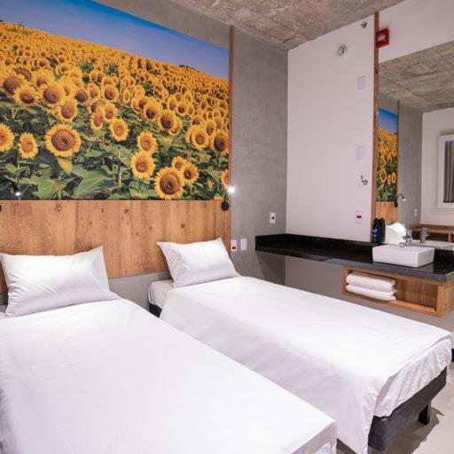 Campos de Holambra Inn 5/50