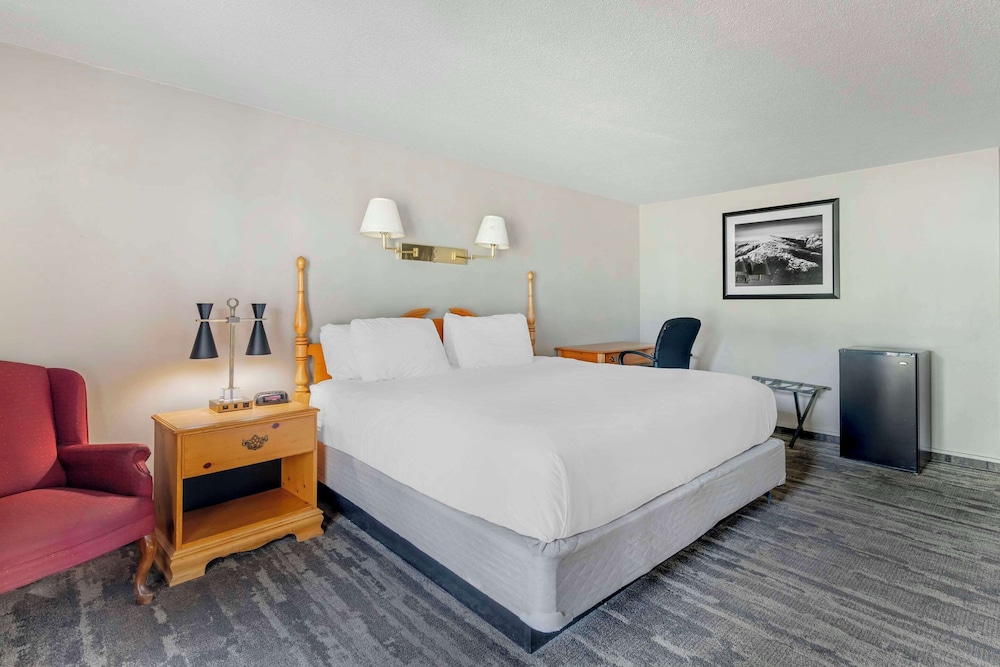 Standard, King Bed, Balcony, Large
