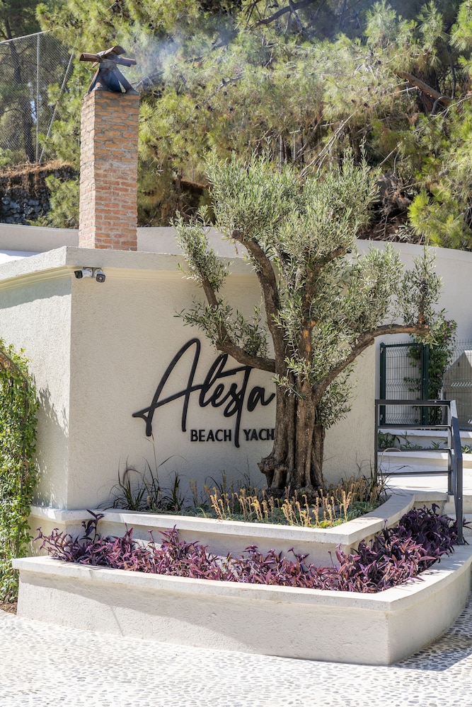 Alesta Midtown 5/57