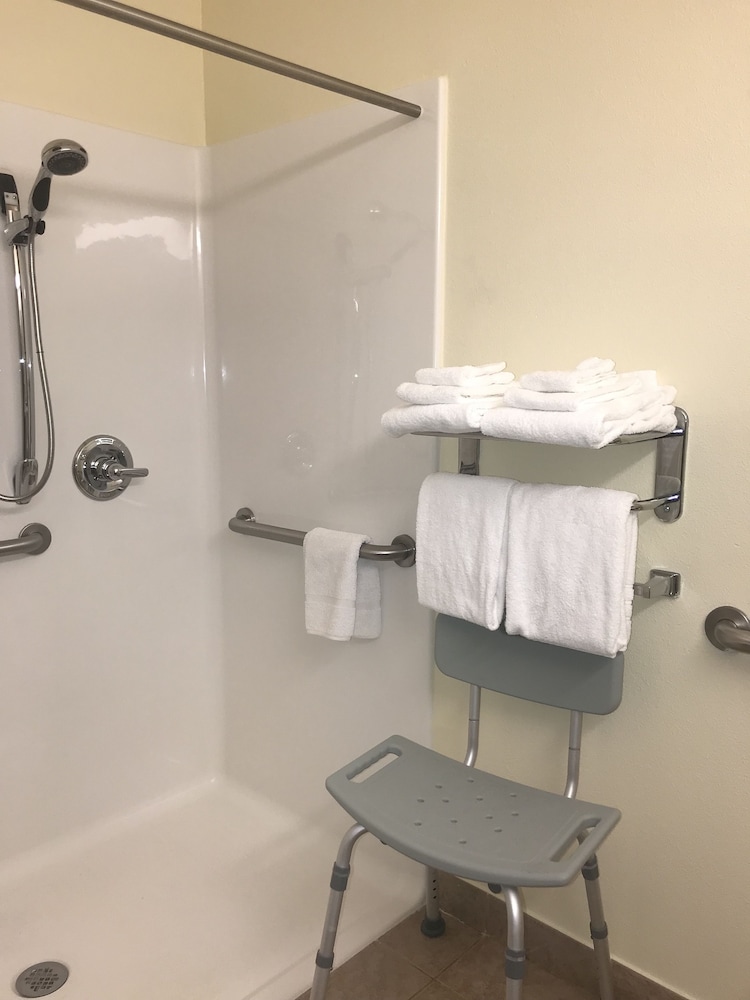 Microtel Inn & Suites by Wyndham Indianapolis Airport 31/36