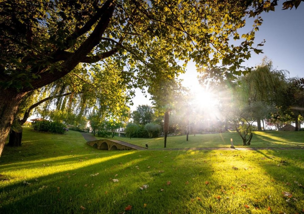 Olive Nature - Hotel & SPA da Quinta Dona Adelaide 39/47