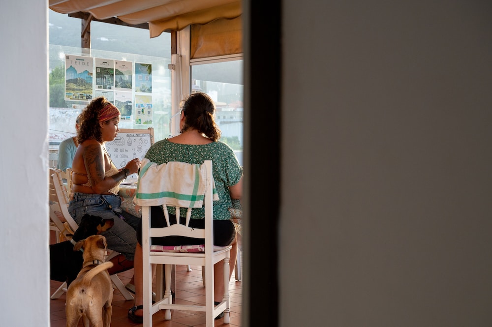 Drago Nest Hostel 5/50