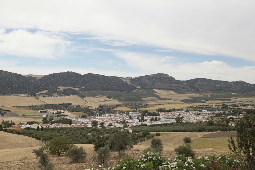 Arriadh Hotel 17/35