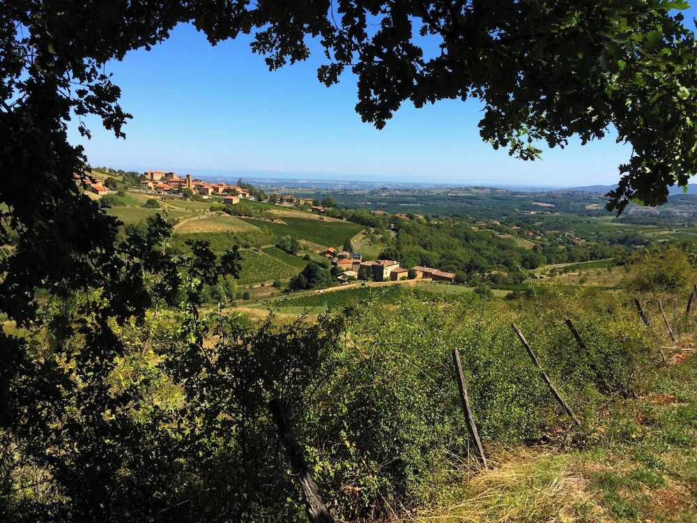 Le Clos des Fayettes 38/50