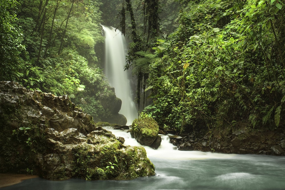 The Peace Lodge At La Paz Waterfall Gardens 52/63